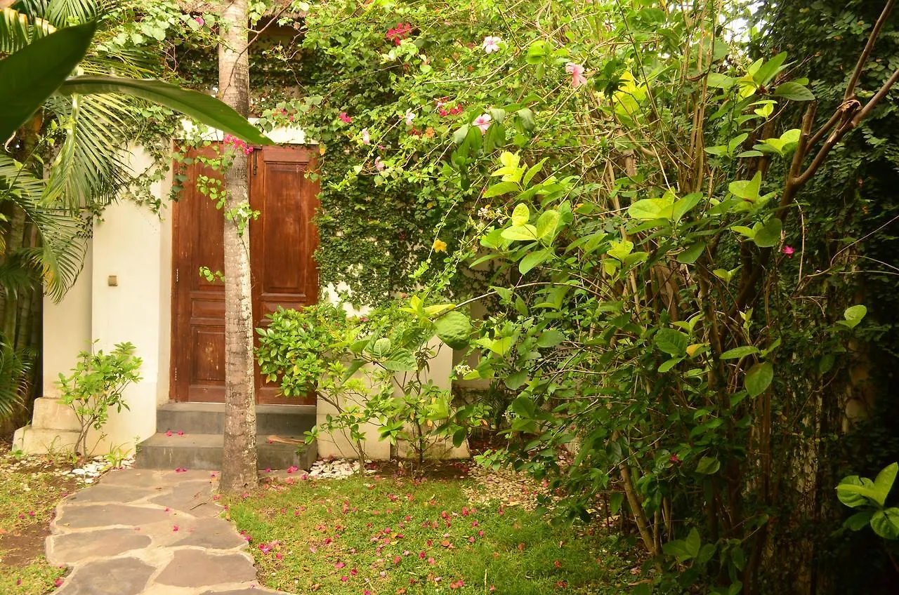 Villa Laella Favella Seminyak   Seminyak (Bali)
